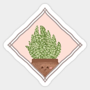 Haworthia Pumila Donut Succulent in a Rectangle Frame Sticker